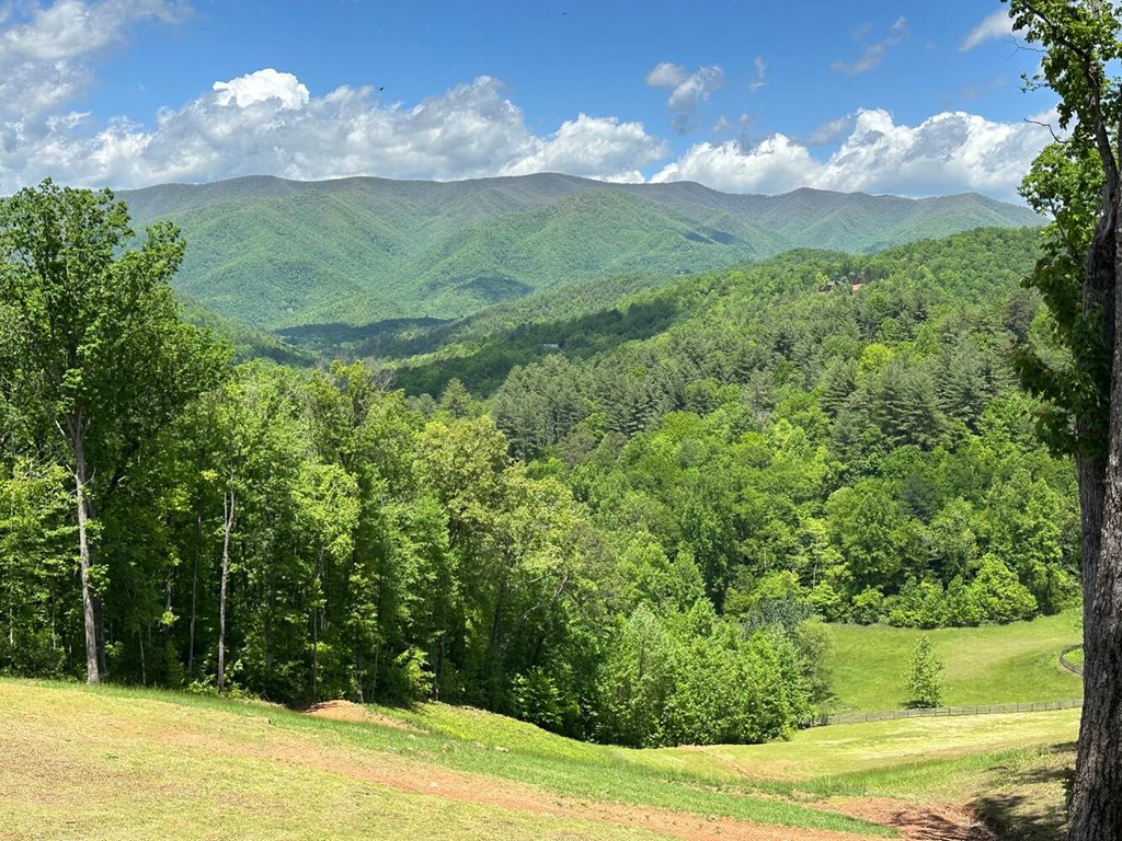 416697 Hayesville Residential
