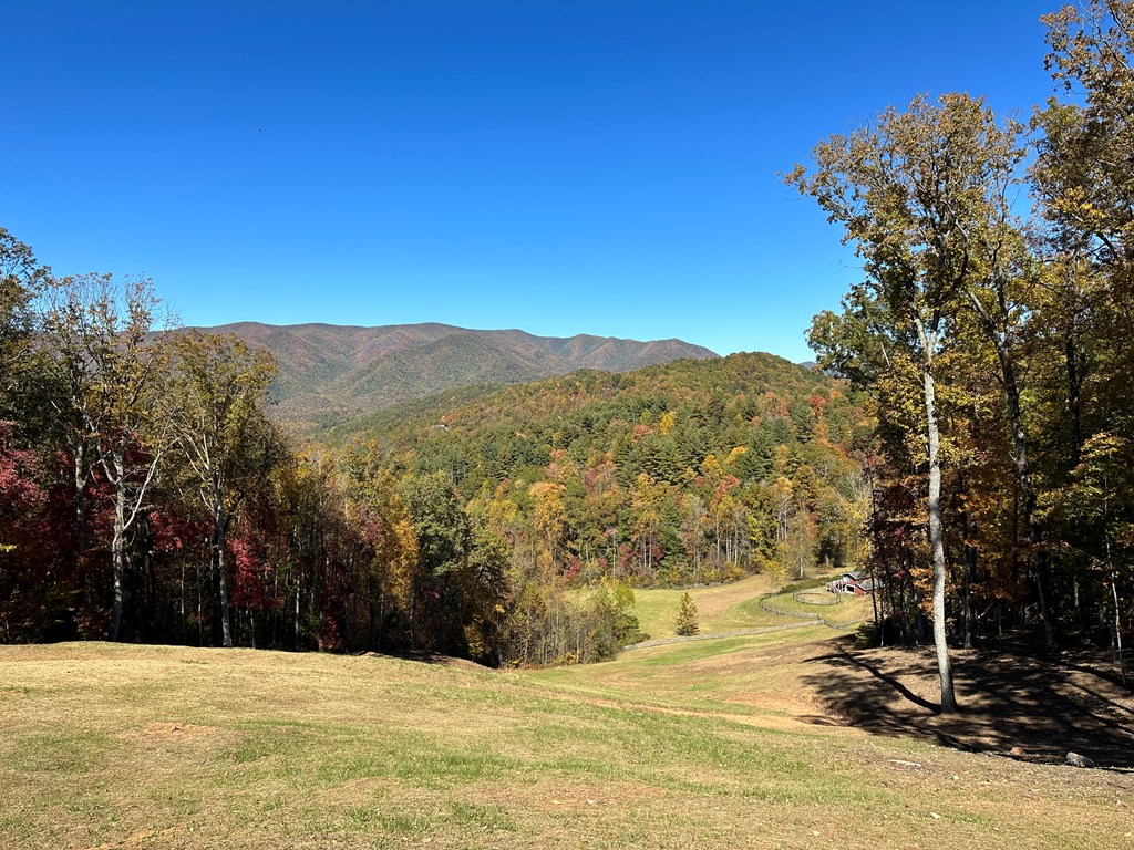 416697 Hayesville Residential