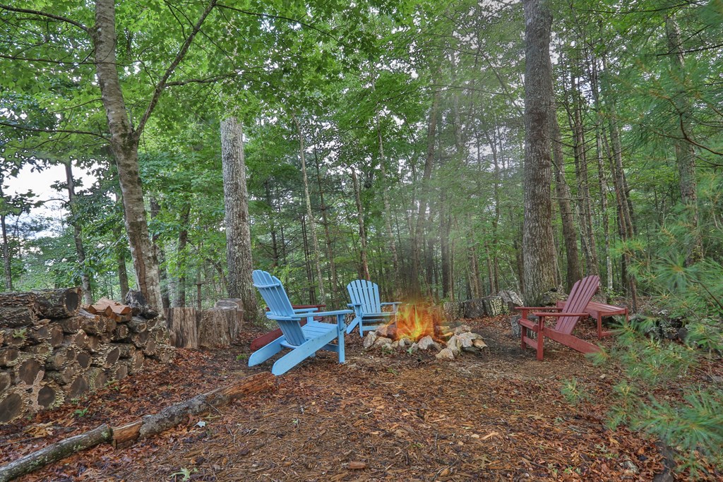416771 Cherry Log Residential