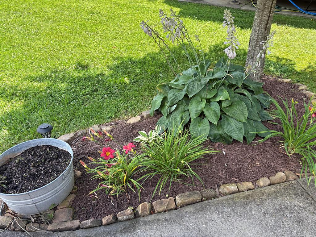 416782 Blairsville Residential