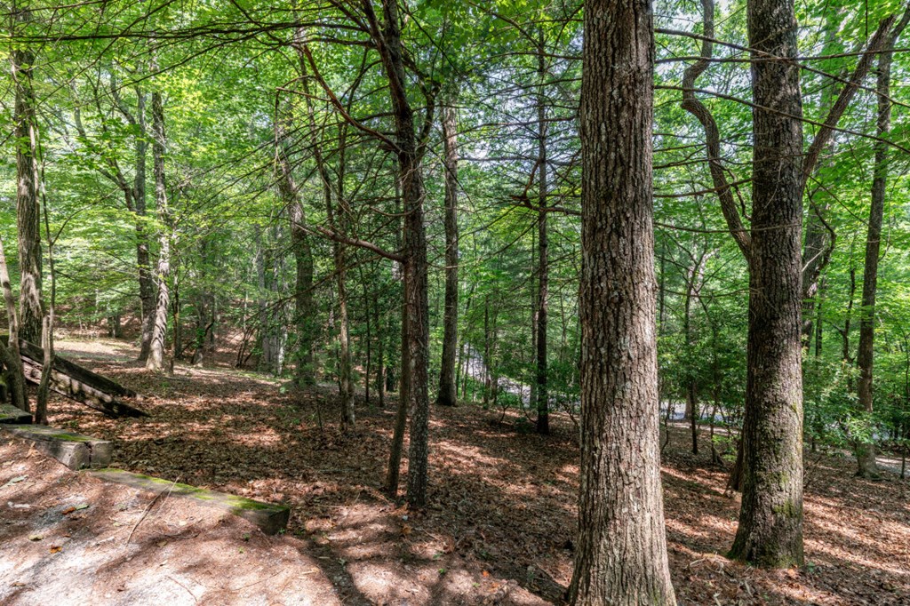 416809 Blairsville Residential