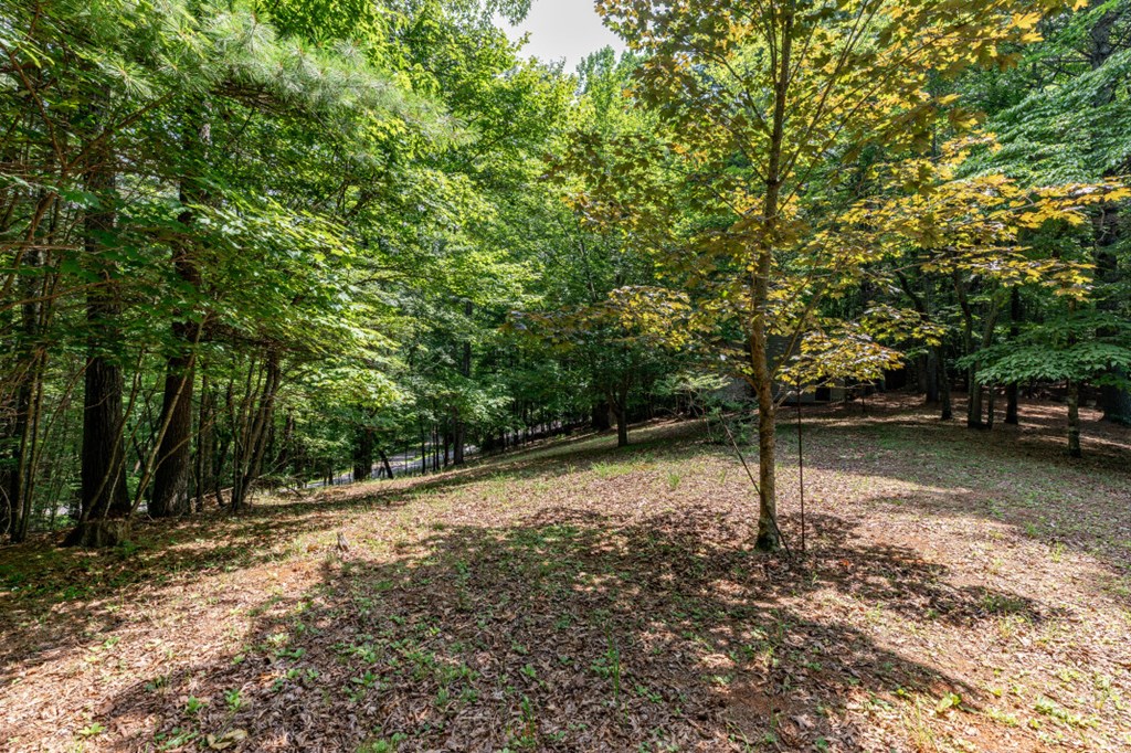 416809 Blairsville Residential