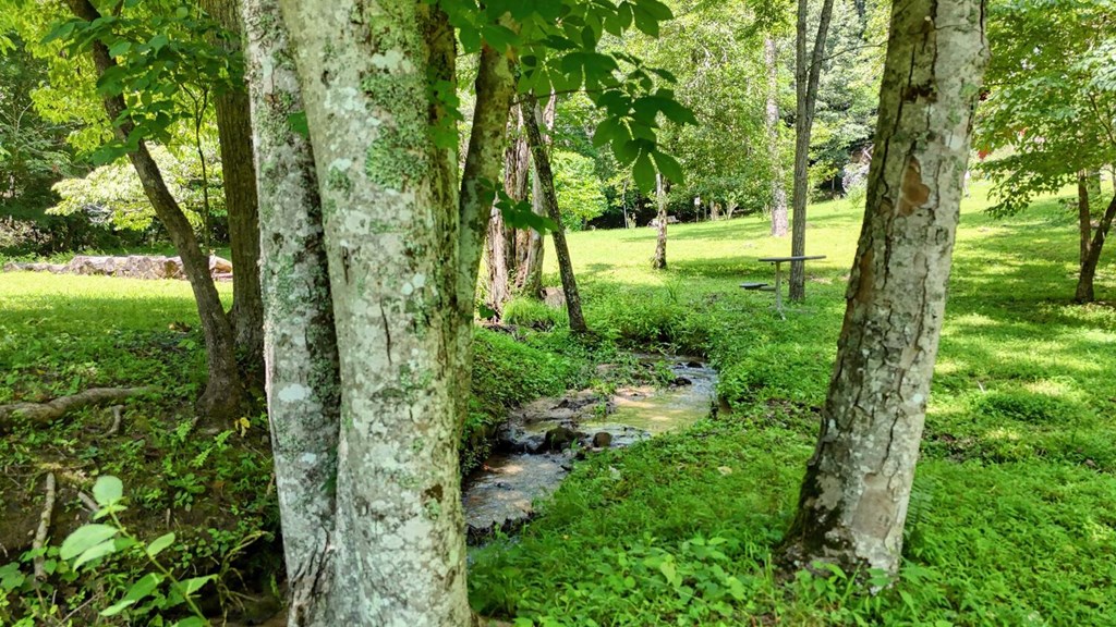 416895 Blairsville Residential