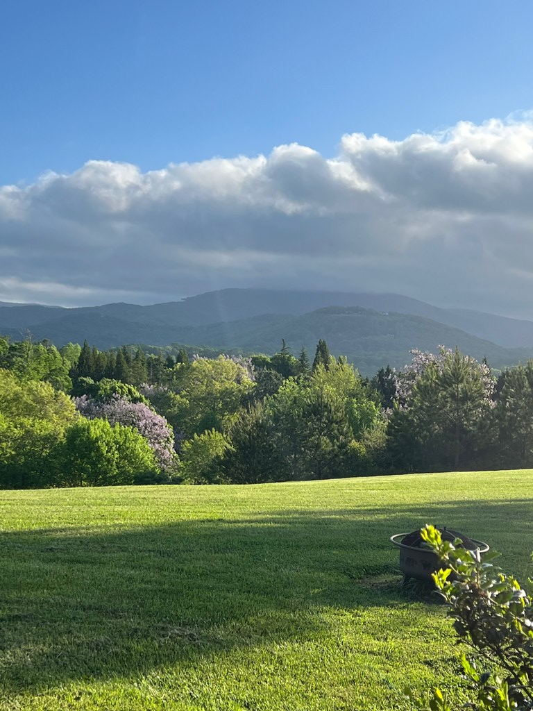 416898 Ellijay Residential