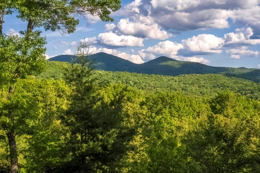 416914 Blue Ridge Residential