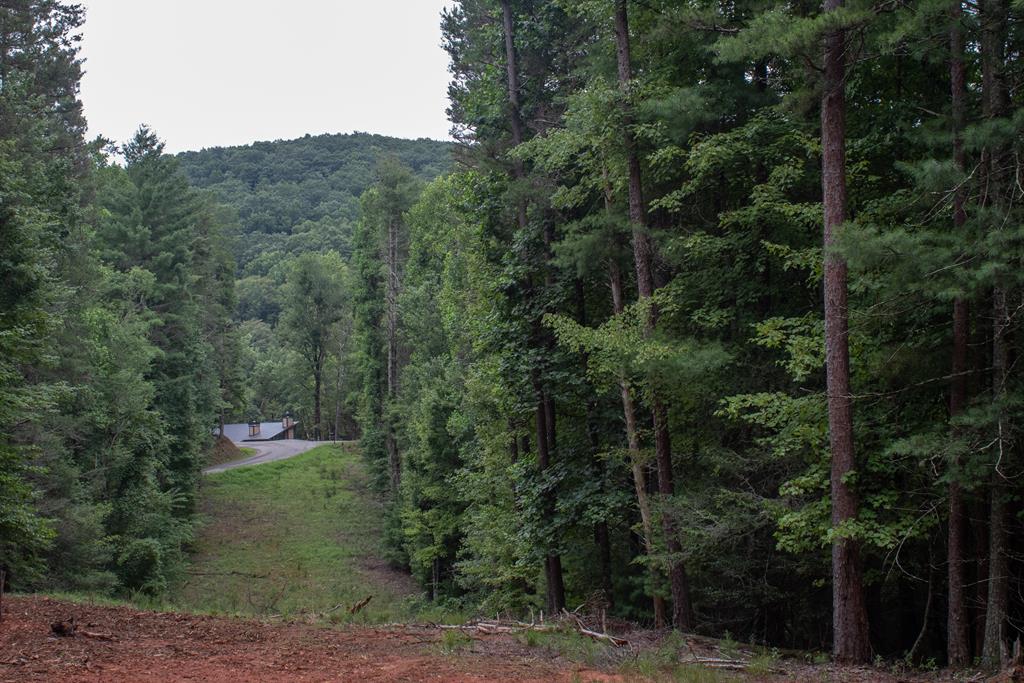 416986 Blue Ridge Residential