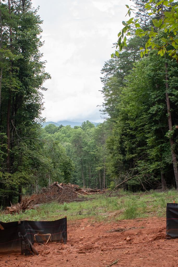 416986 Blue Ridge Residential
