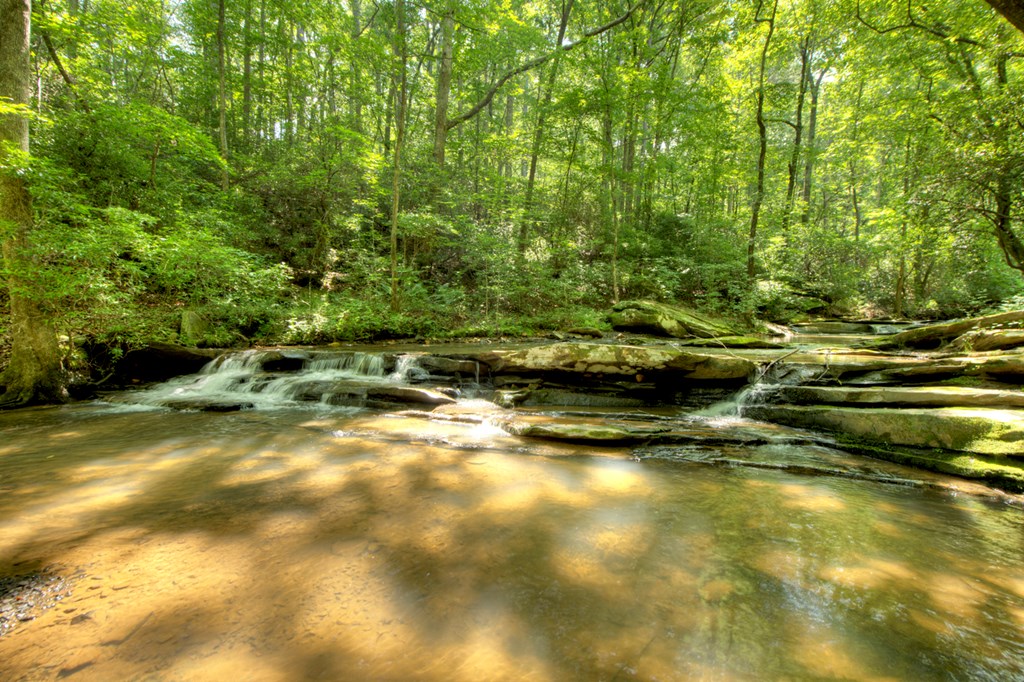 417026 Ellijay Residential
