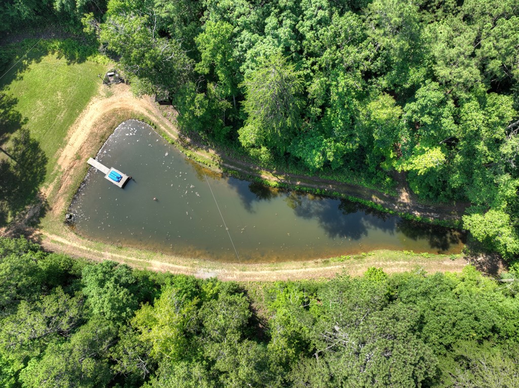 417026 Ellijay Residential