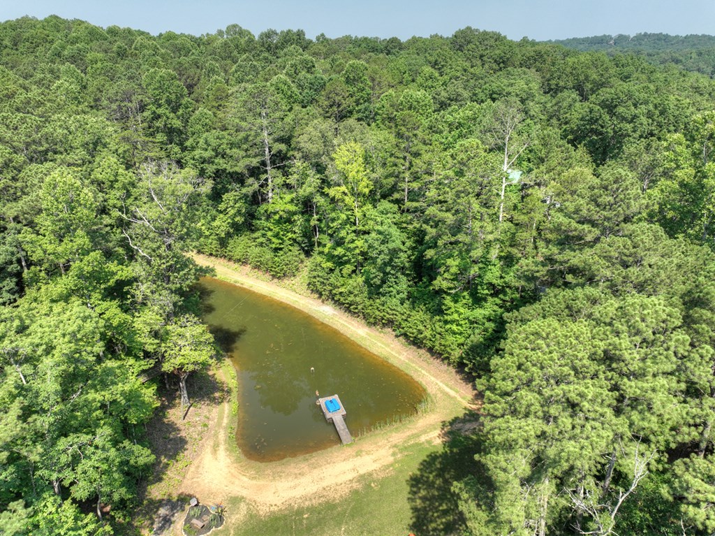 417026 Ellijay Residential