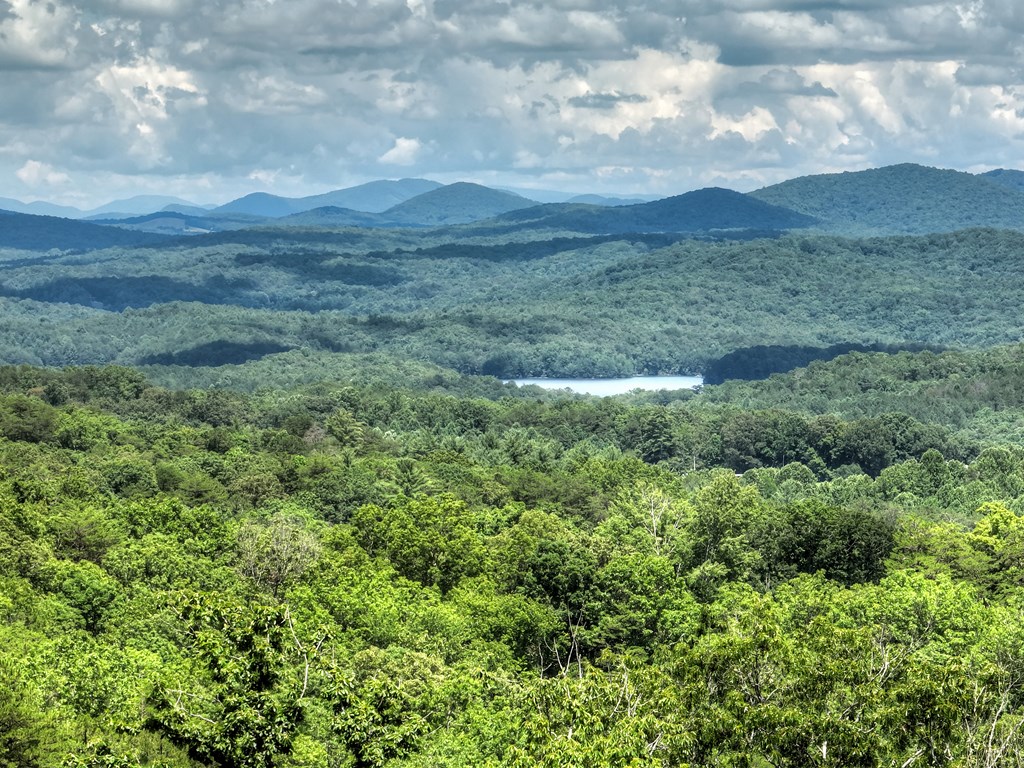 417046 Blue Ridge Residential