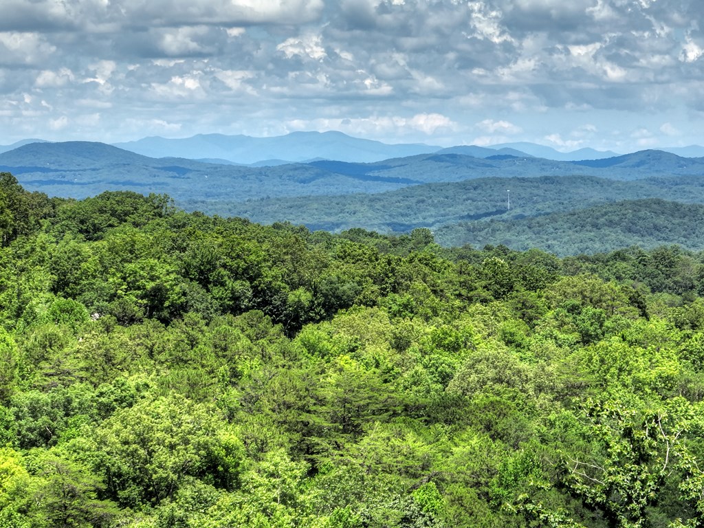 417046 Blue Ridge Residential