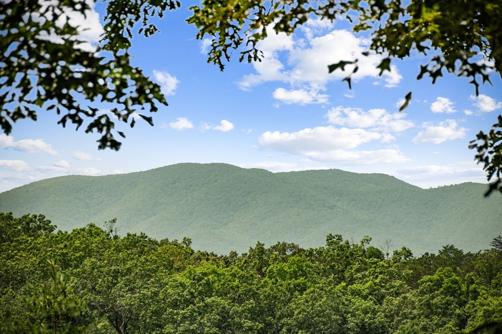 417064 Blue Ridge Residential