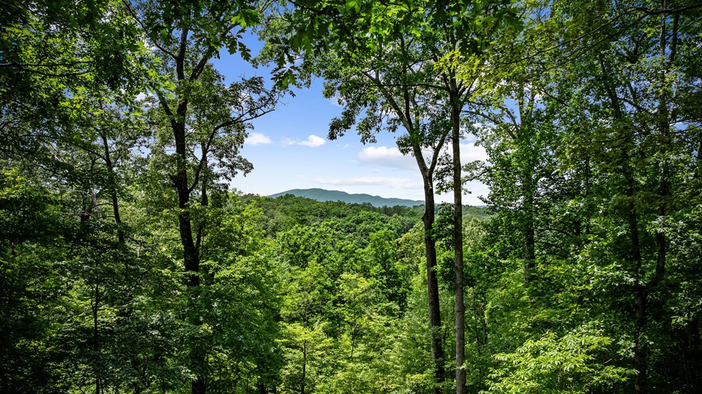 417064 Blue Ridge Residential