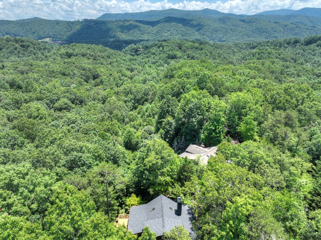 417082 Blue Ridge Residential
