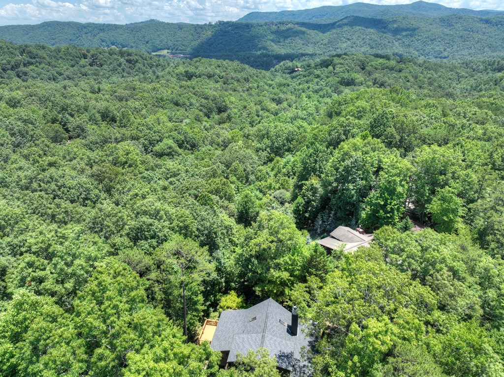 417082 Blue Ridge Residential