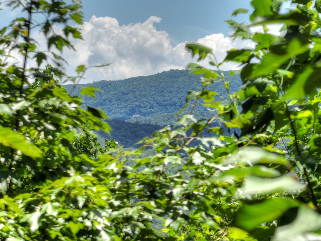 417082 Blue Ridge Residential
