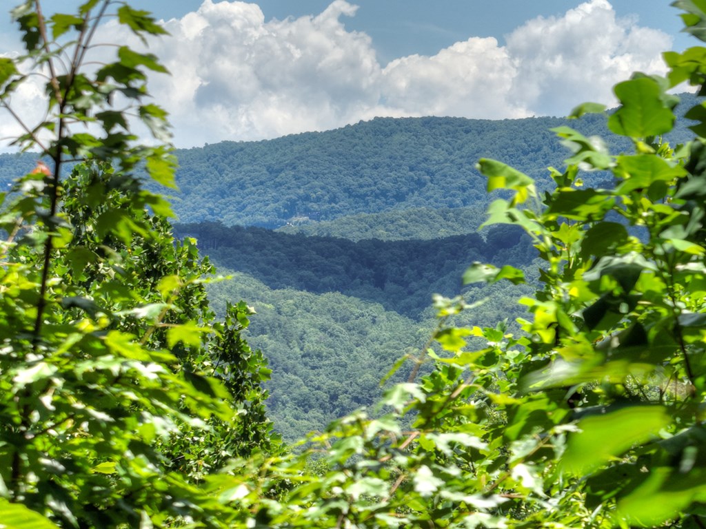 417082 Blue Ridge Residential