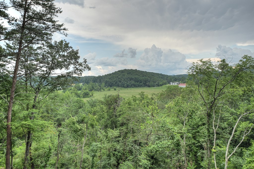 417097 Blue Ridge Residential