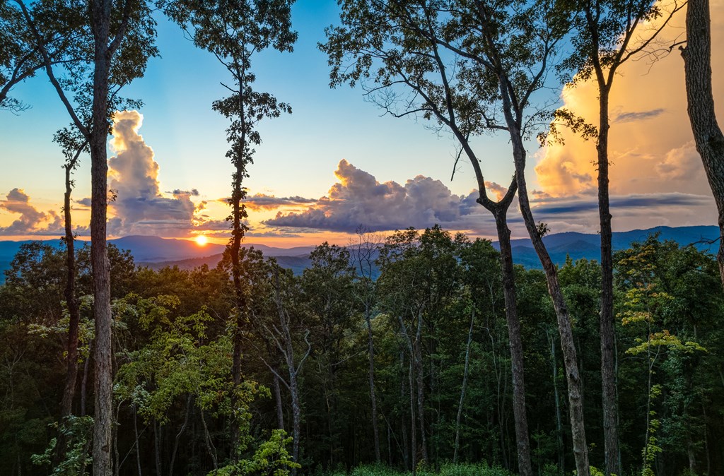 417117 Mineral Bluff Residential