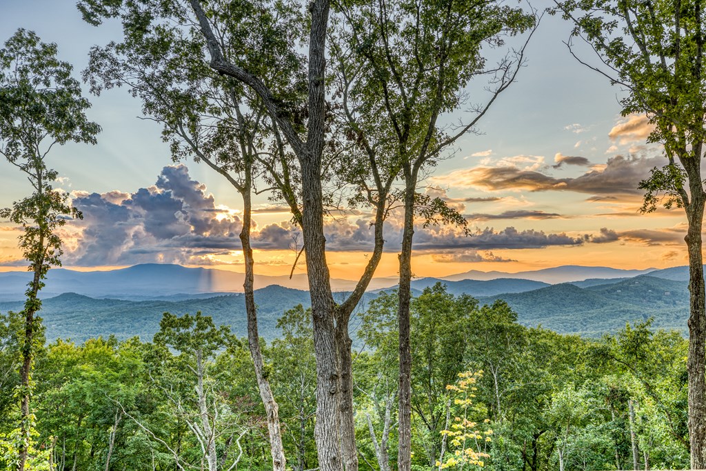 417117 Mineral Bluff Residential