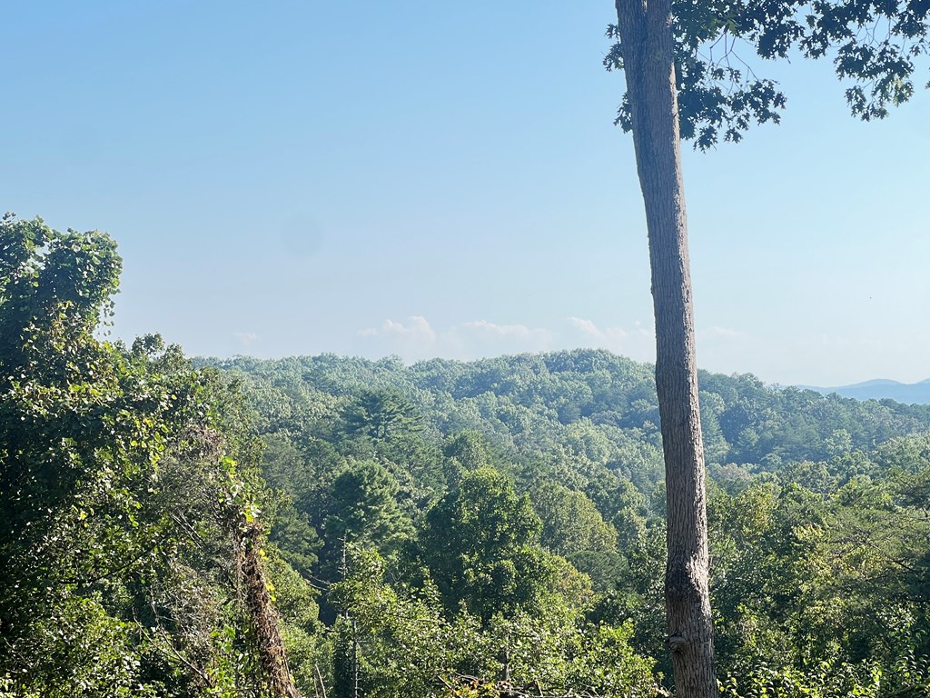 417142 Blue Ridge Residential