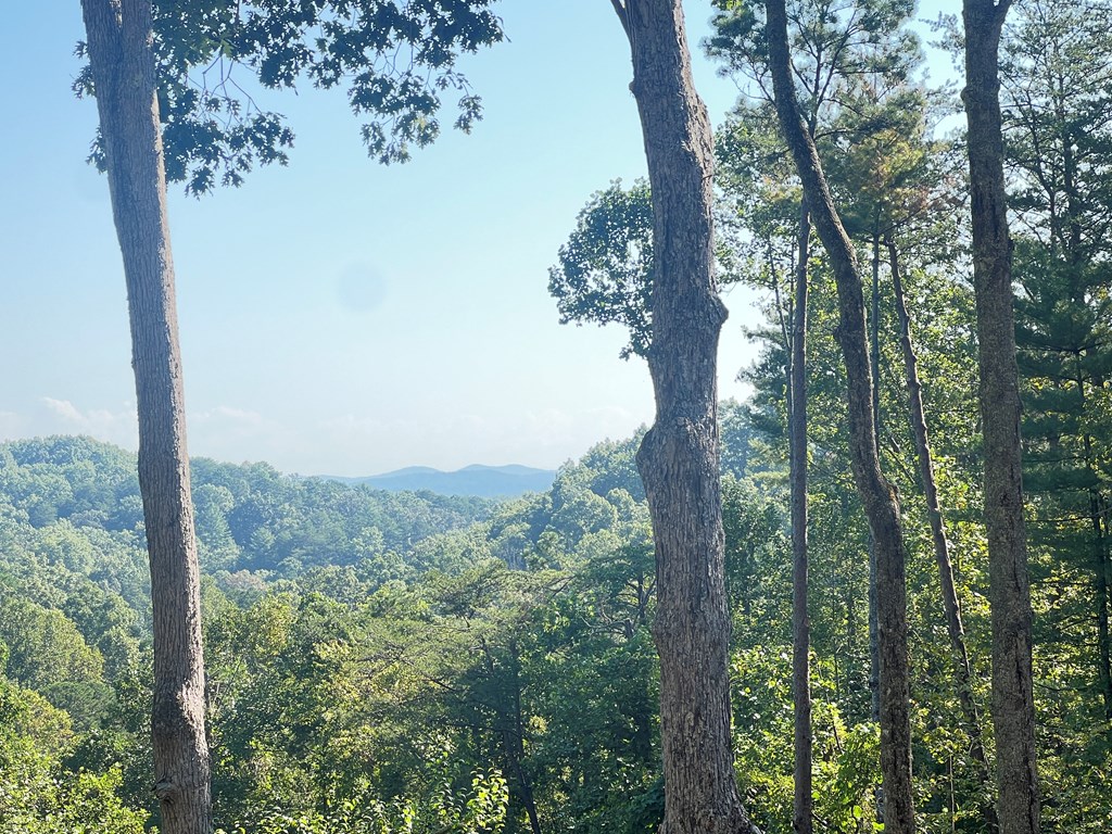 417142 Blue Ridge Residential