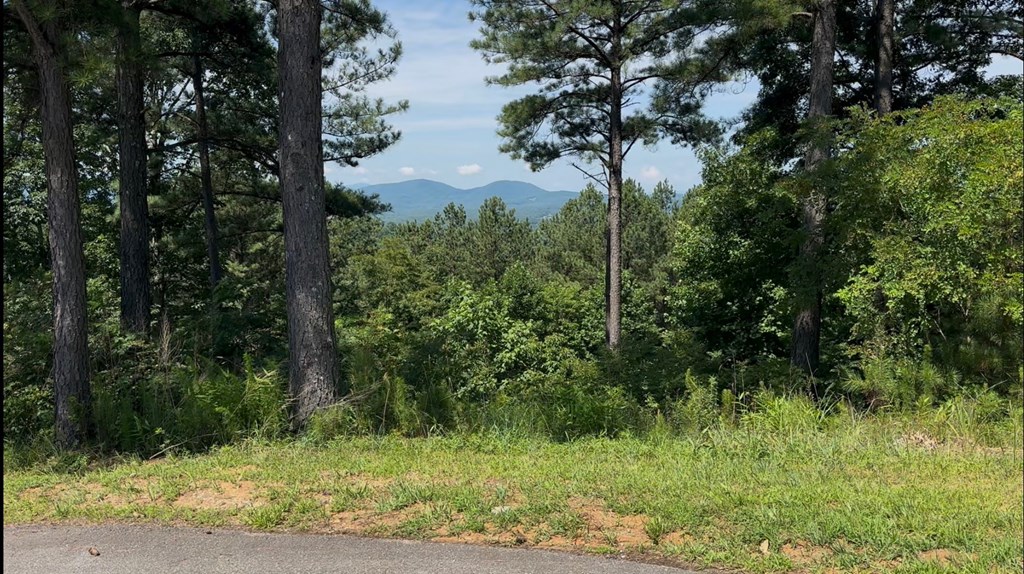 417162 Blairsville Land