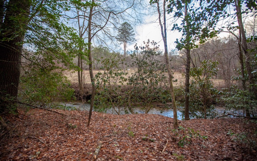417170 Blue Ridge Residential