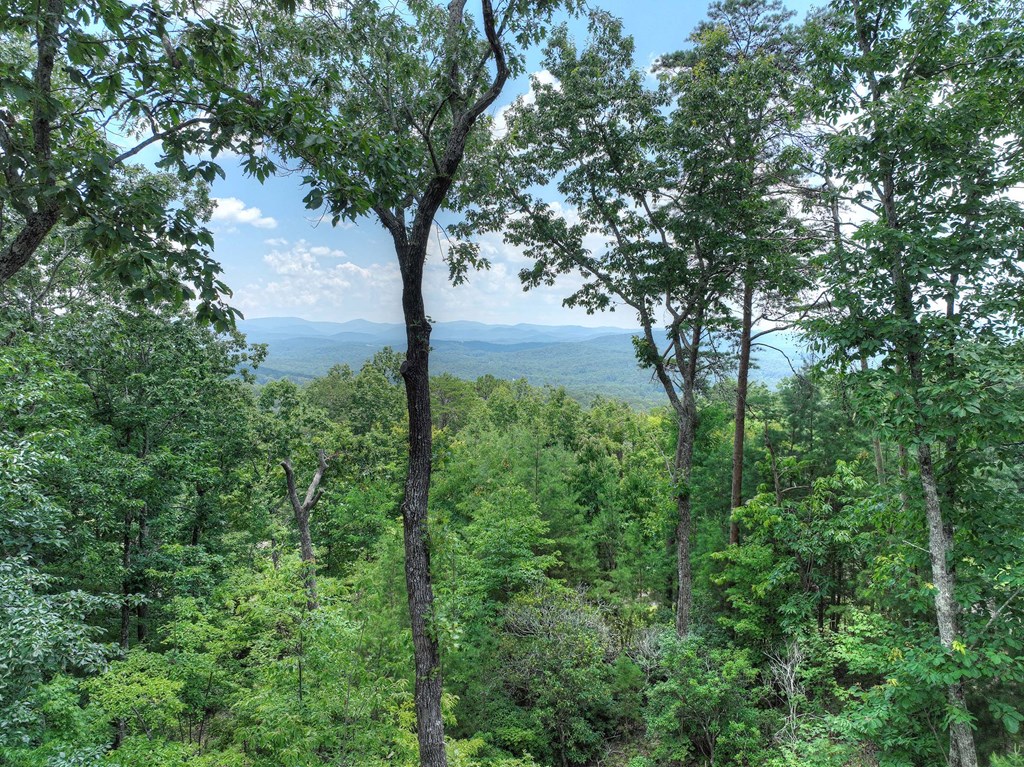 417186 Ellijay Residential