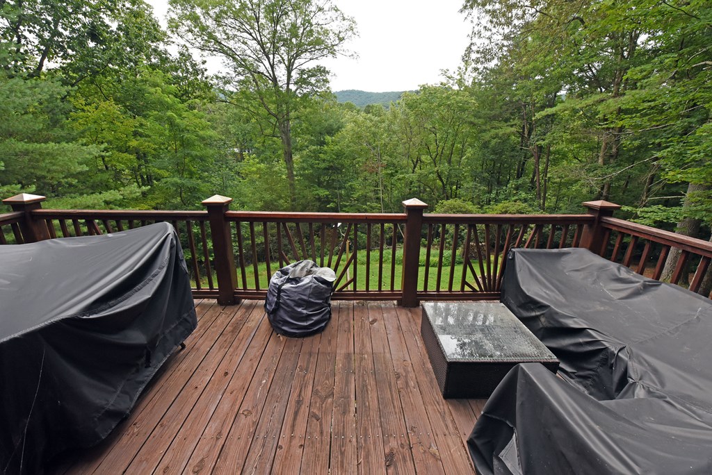 417209 Blue Ridge Residential
