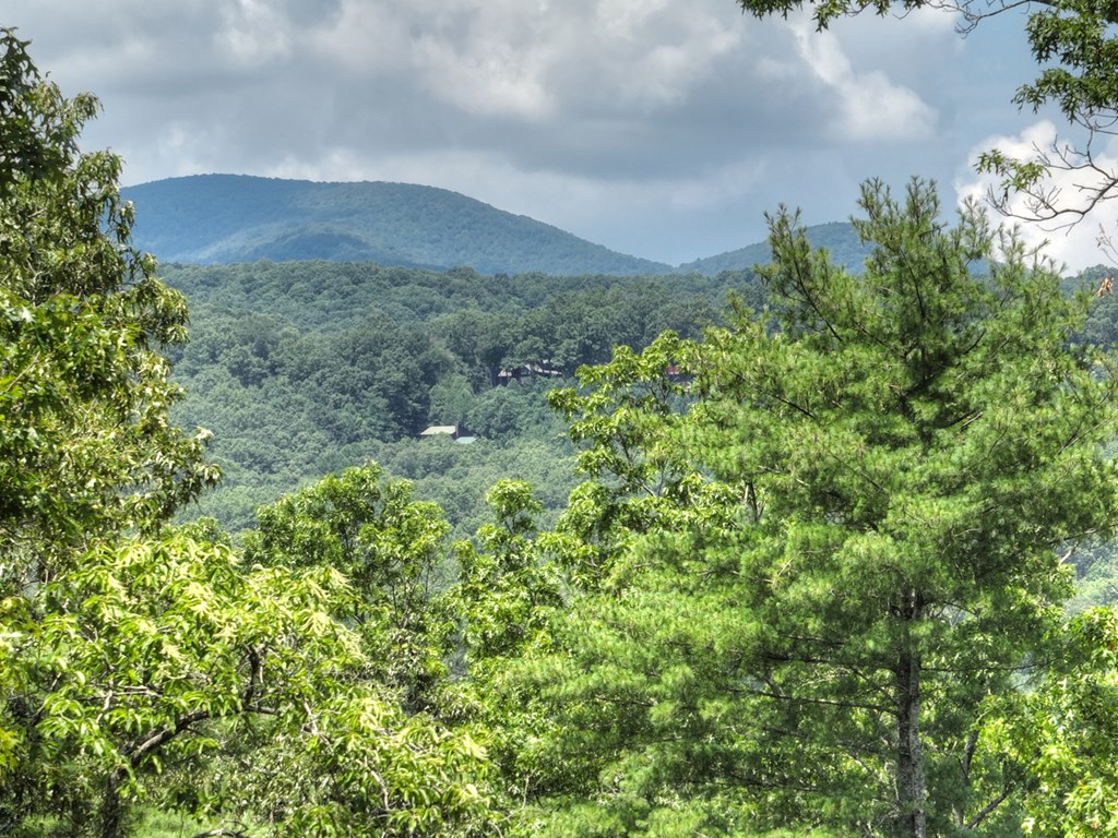 417212 Blue Ridge Residential