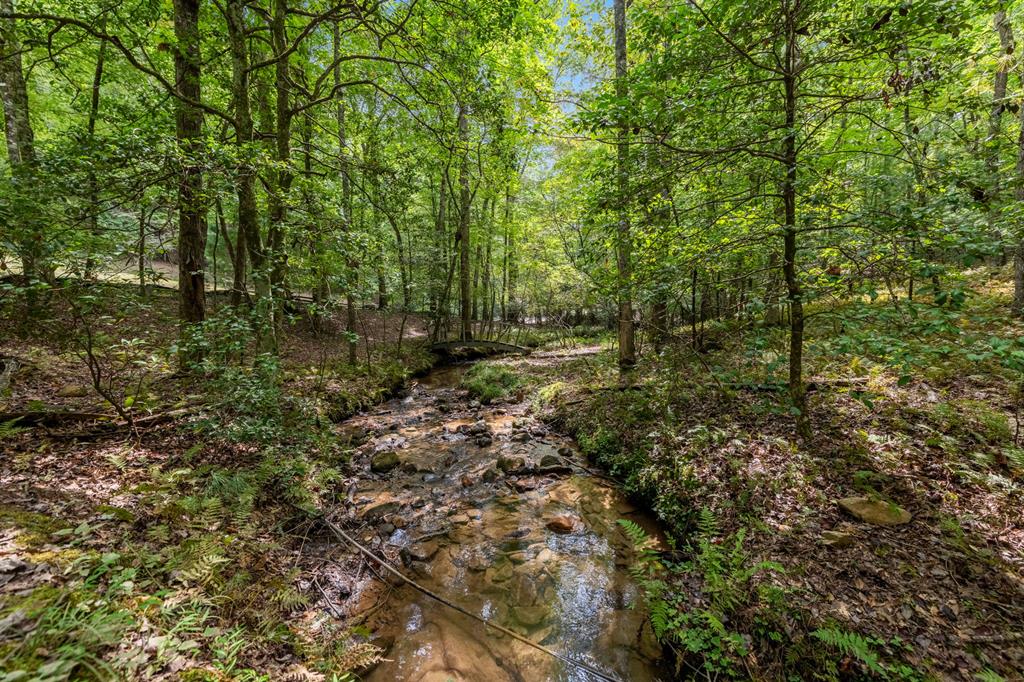 417242 Blue Ridge Residential