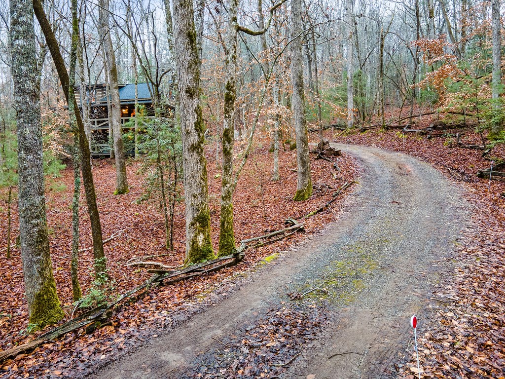 417242 Blue Ridge Residential