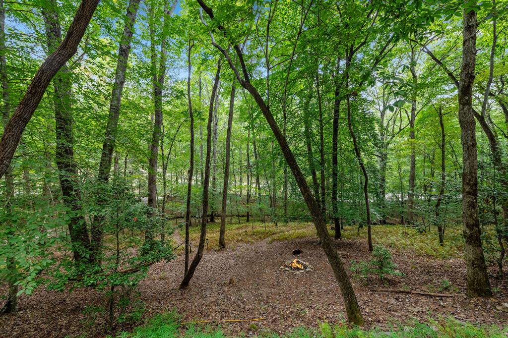 417242 Blue Ridge Residential