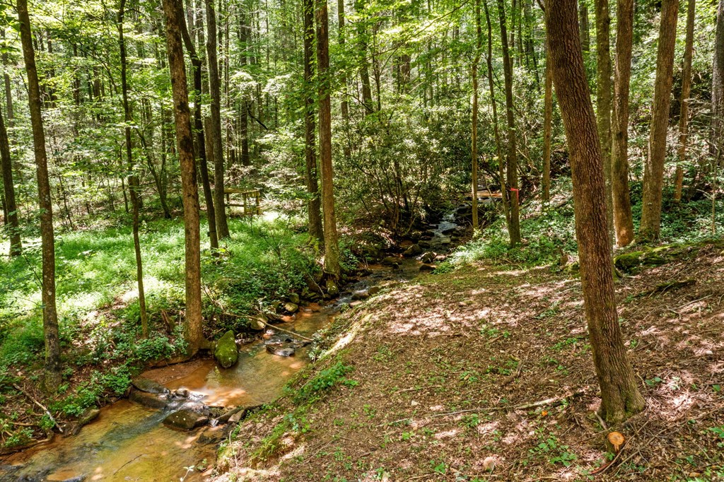 417255 Ellijay Residential