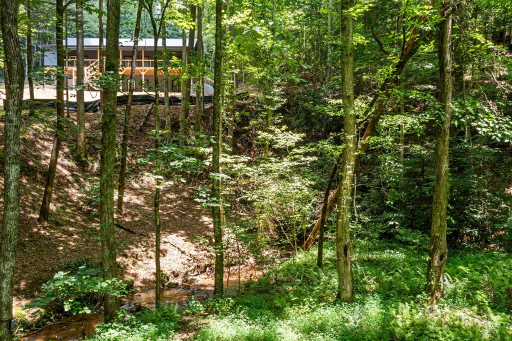 417255 Ellijay Residential