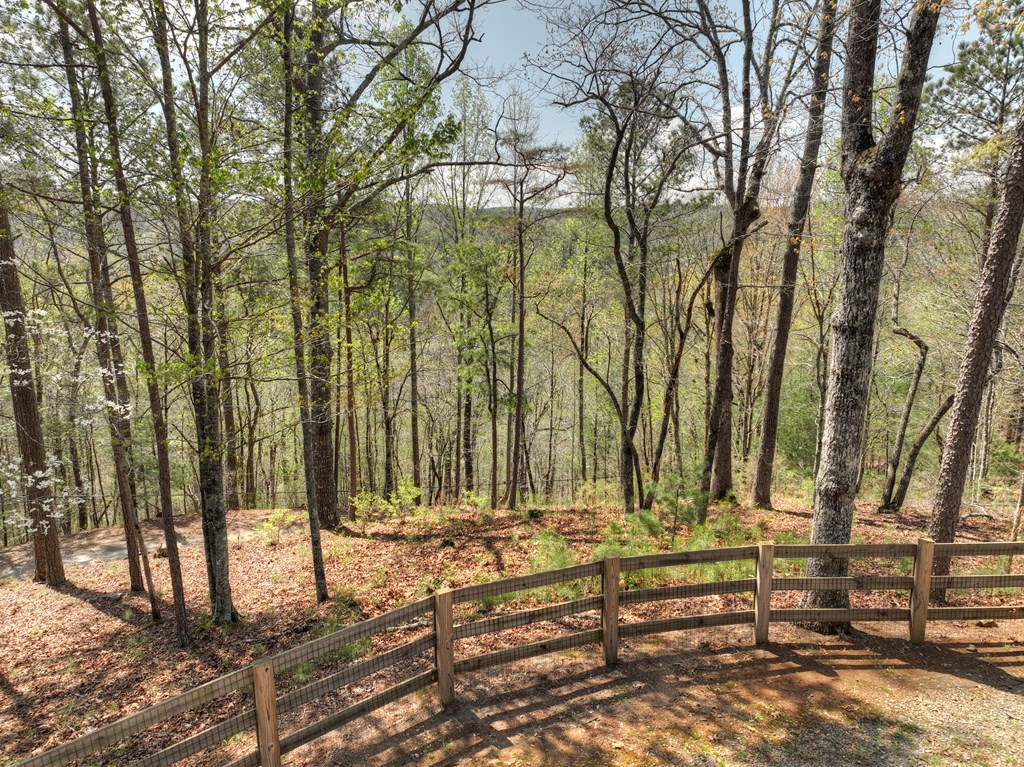 417265 Ellijay Residential