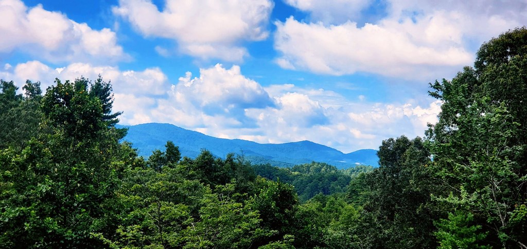 417278 Blue Ridge Residential