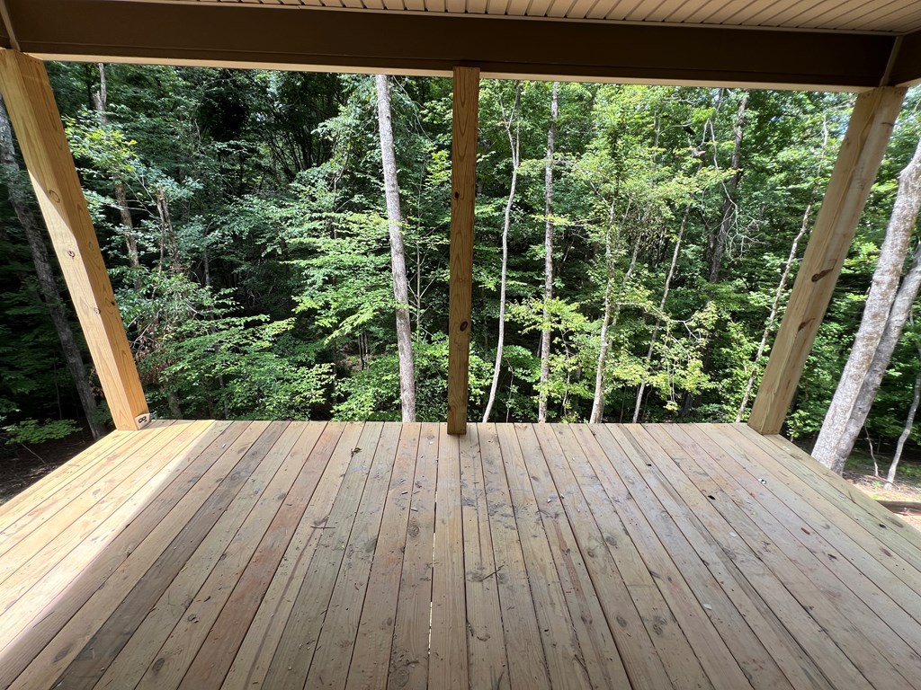 417290 Ellijay Residential