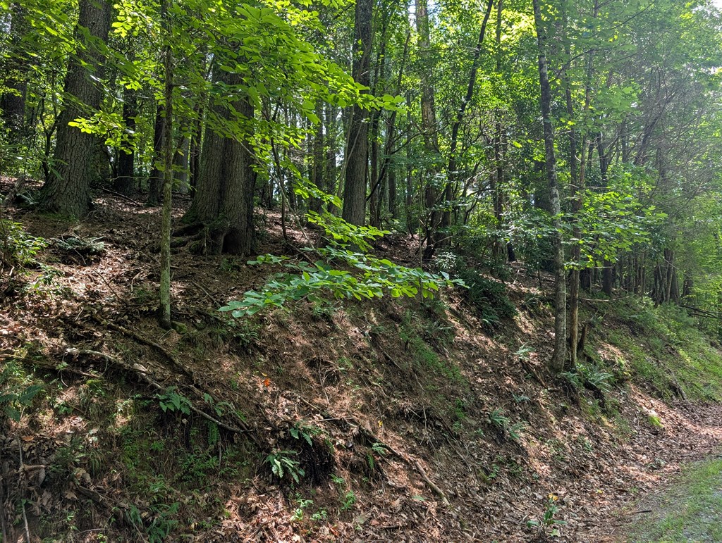 417294 Ellijay Land