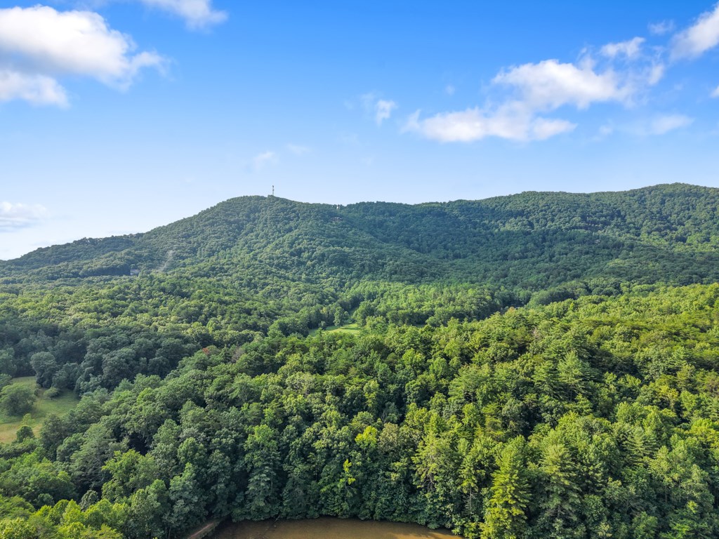 417306 Blue Ridge Residential