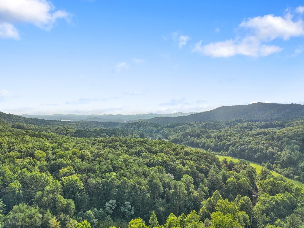 417306 Blue Ridge Residential