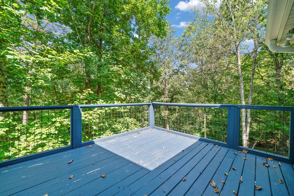 417317 Ellijay Residential