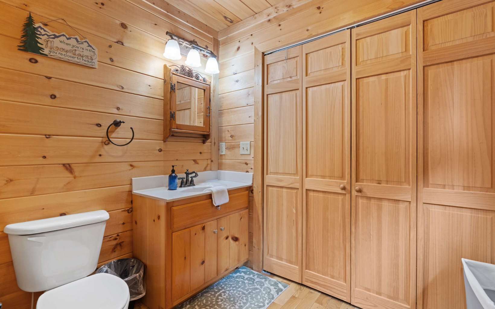 417319 Mineral Bluff Residential