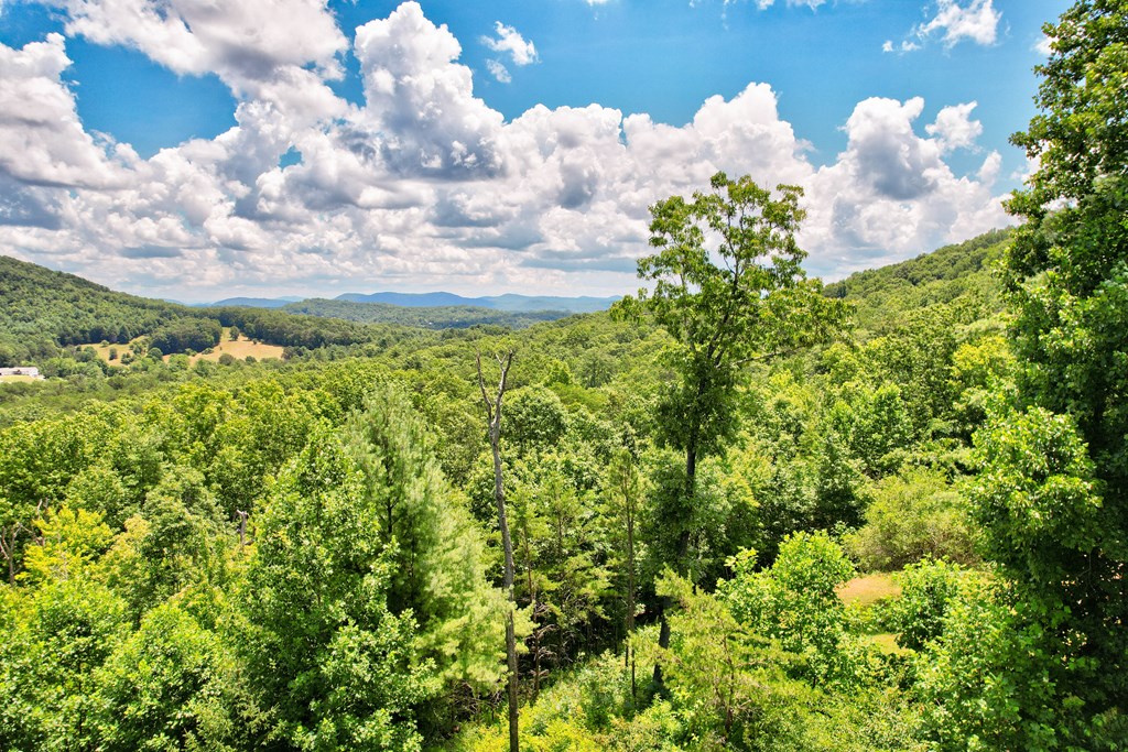 417330 Mineral Bluff Residential