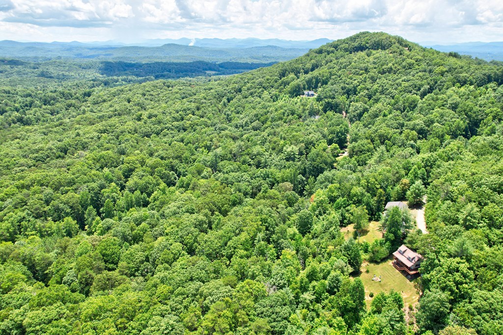 417330 Mineral Bluff Residential