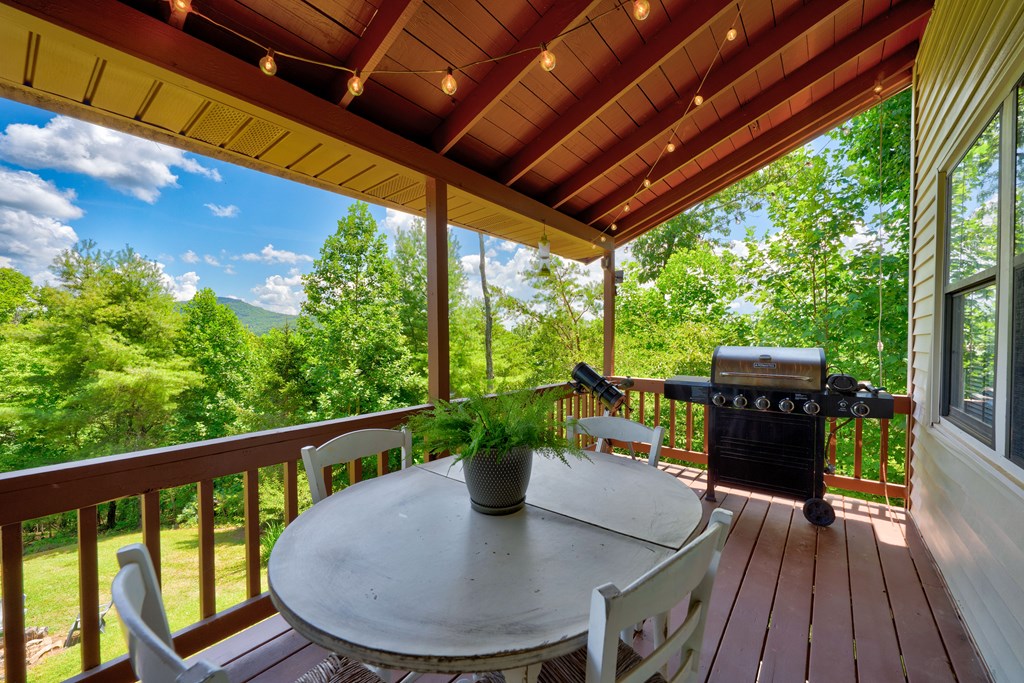 417330 Mineral Bluff Residential