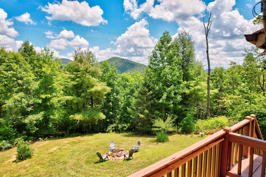 417330 Mineral Bluff Residential