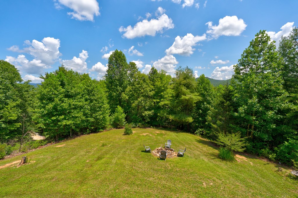 417330 Mineral Bluff Residential